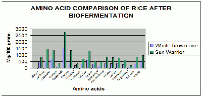 Amino Acid Comparison of Rice Amino Acid Comparison of Rice